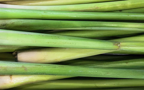Close-up of fresh lemongrass stalks
